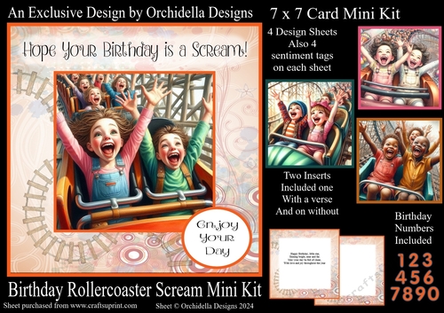 Birthday Rollercoaster Scream