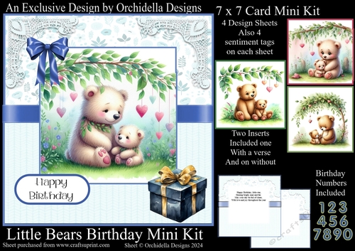 Little Bears Birthday