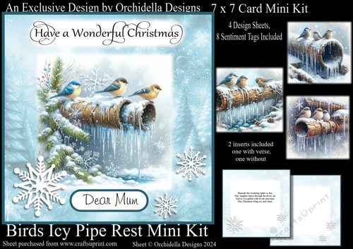 Birds Icy Pipe Rest