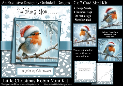 Little Christmas Robin