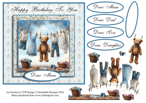 Teddy Washday Blues