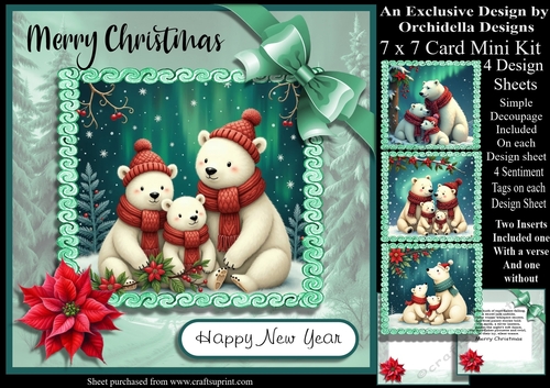 Snow Bear Family