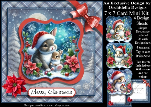 Santa Bunny and Baby