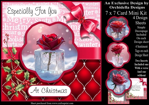 Red Rose For Christmas