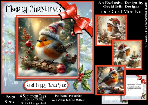 Robin Christmas Time