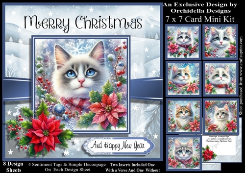 Christmas Cat Selfie