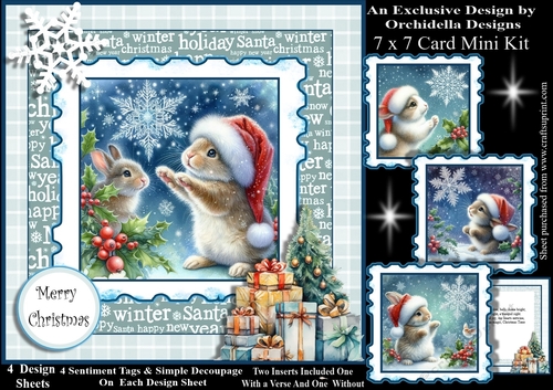 Oh to Catch a Snowflake Bunny