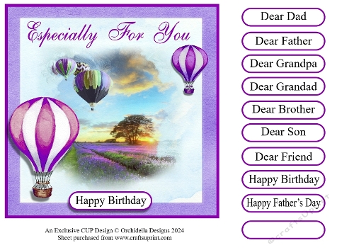 Birthday Balloon Flight