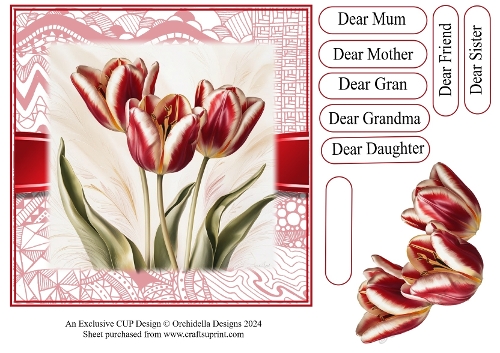 Beautiful Fiesta Tulip Birthday