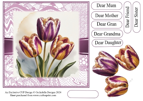 Beautiful Tulip Birthday Trio