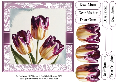 Beautiful Tulip Birthday 