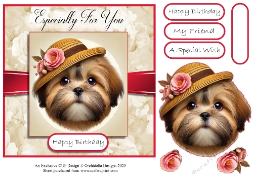 A Cool Dog Wish