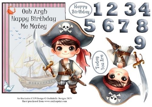 Pirate Birthday On The Edge