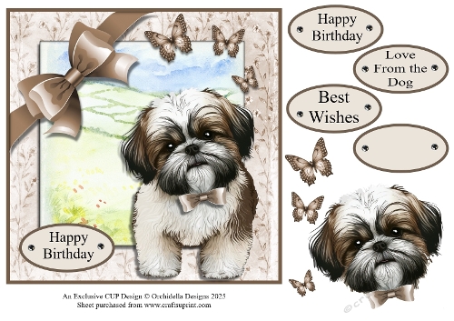 Hello Shihtzu Birthday