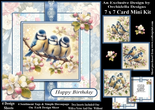Little Birds and Blossom Birthday