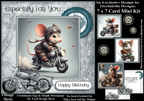 Mice On Bikes