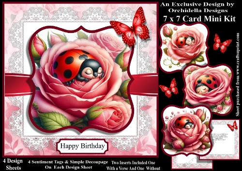 Birthday Ladybird in Roses