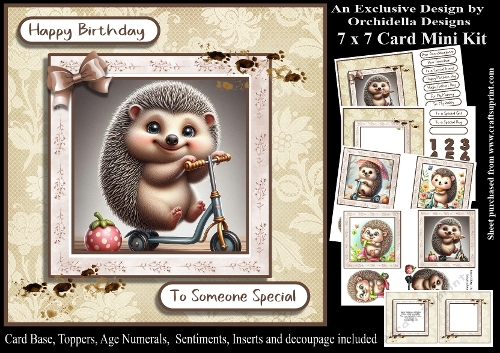 Scooter Hedgehog Birthday
