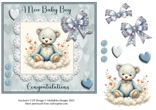 Beary Blue New Baby Boy