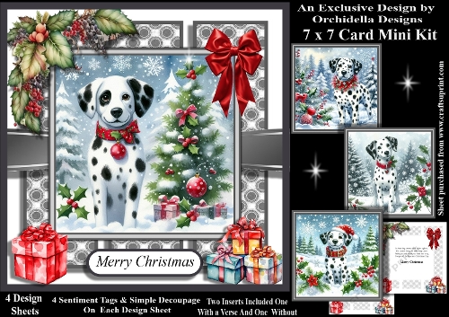 Spot The Christmas Dog