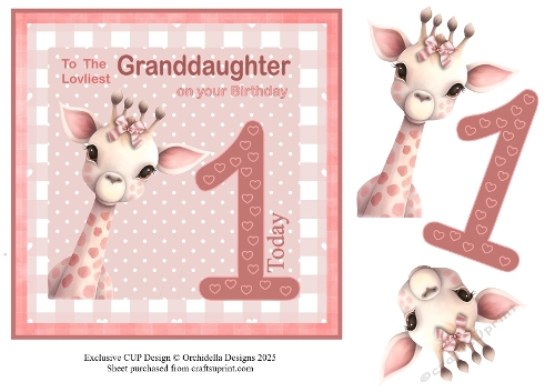 Granddaughter First Birthday