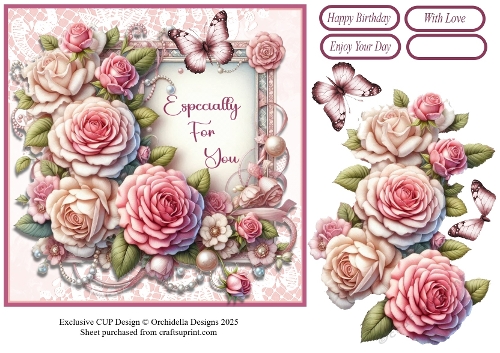 Special Roses and Butterfly