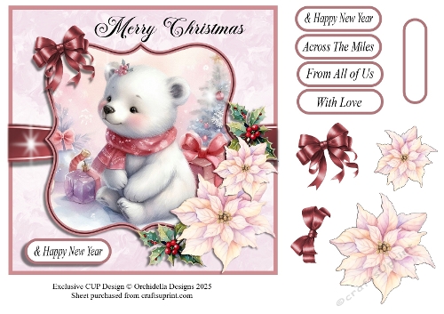Pastel Baby Bear Merry Christmas 2
