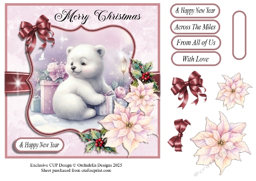 Pastel Baby Bear Merry Christmas 