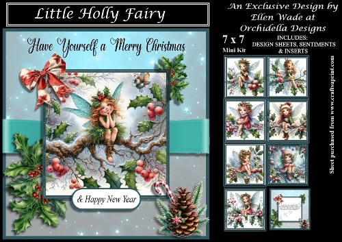 Little Holly Fairy