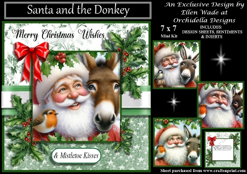 Santa and the Donkey