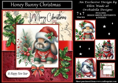 Honey Bunny Christmas 2