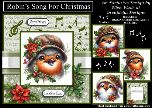 Robins Song For Christmas