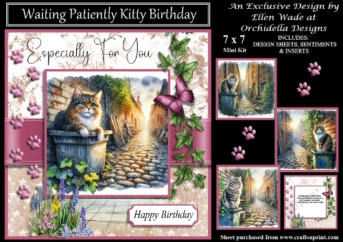Waiting Patiently Kitty Birthday