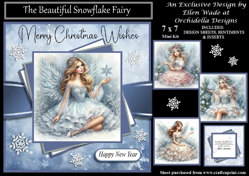 The Beautiful Snowflake Fairy