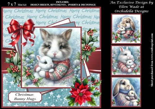 Christmas Bunny Hugs