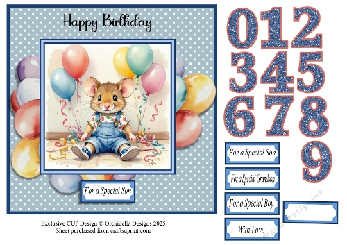Balloon Mouse Birthday Boy