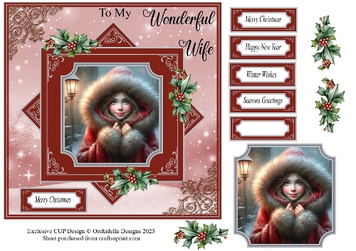 Cosy Christmas Wonderful Wife