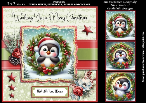 Little Holly Penguin