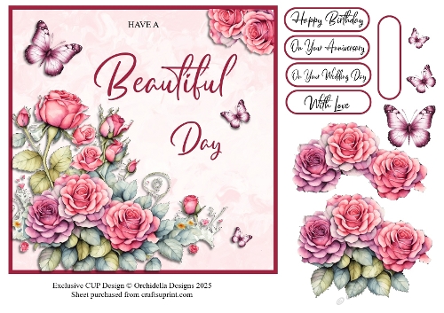 Roses and Butterflies