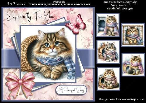 Cosy Tabby Purrfect Day