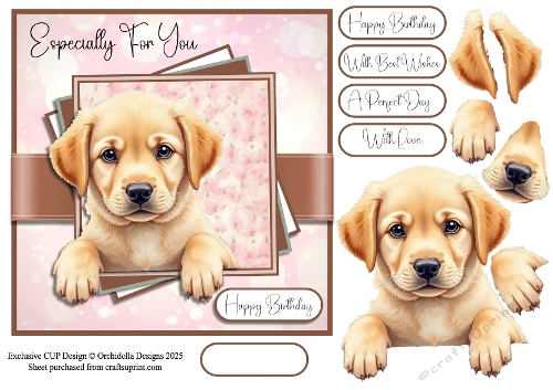 The New Puppy 1