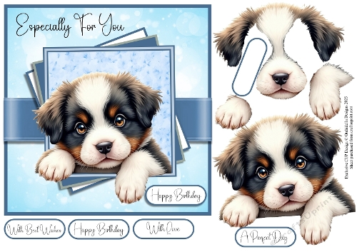 The New Puppy 2