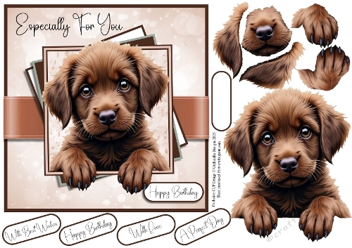 The New Puppy 3