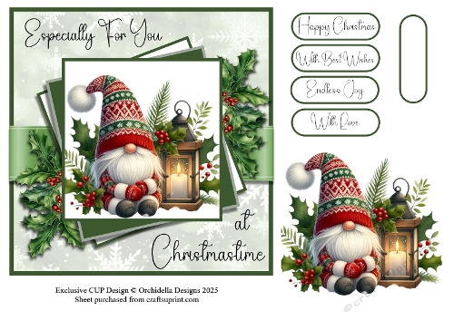 Gnome Alone for Christmas
