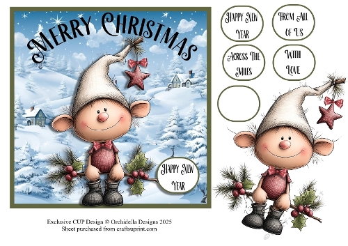 Winter Wonderland Elf