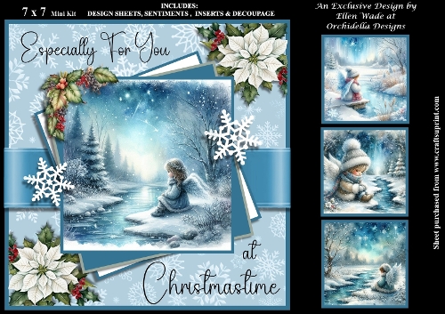 The Little Frost Fairy