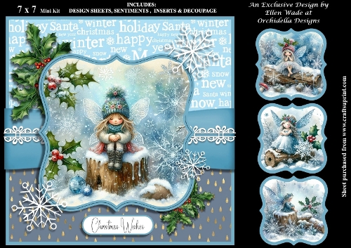 Little Ice Fairy