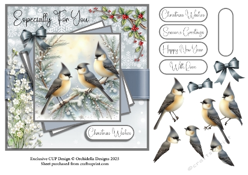 Snowy Winter Birds