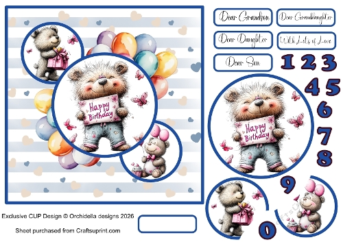 Bears Birthday Party