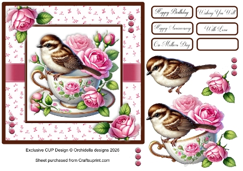 Sweet Bird Rosy Lea